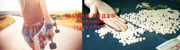 индика Алзамай