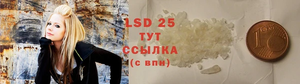 индика Алзамай