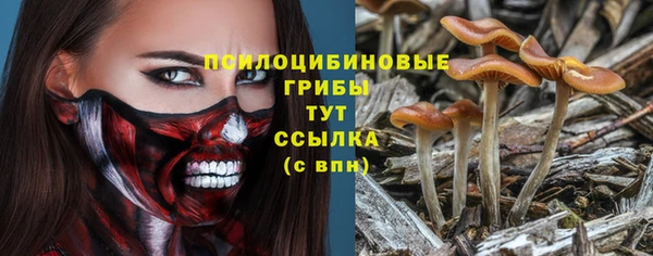 МДПВ Алексеевка