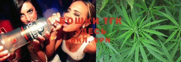 МДПВ Алексеевка